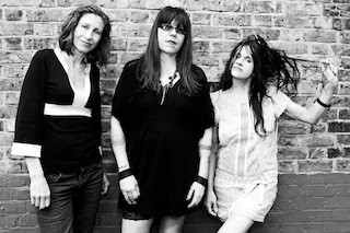 Babes in Toyland was a Minneapolis-based punk rock band