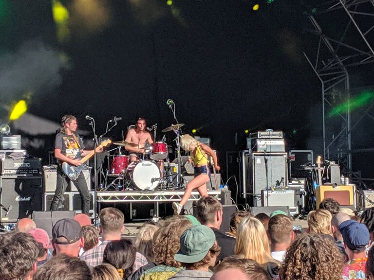 Amyl And The Sniffers