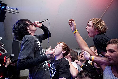 Dead Swans is a Brighton hardcore punk band formed in 2006