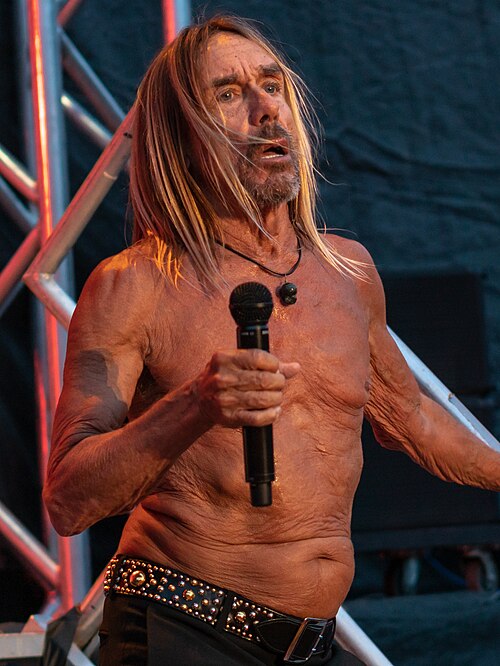 Iggy Pop is an American musician whose career spans the Stooges