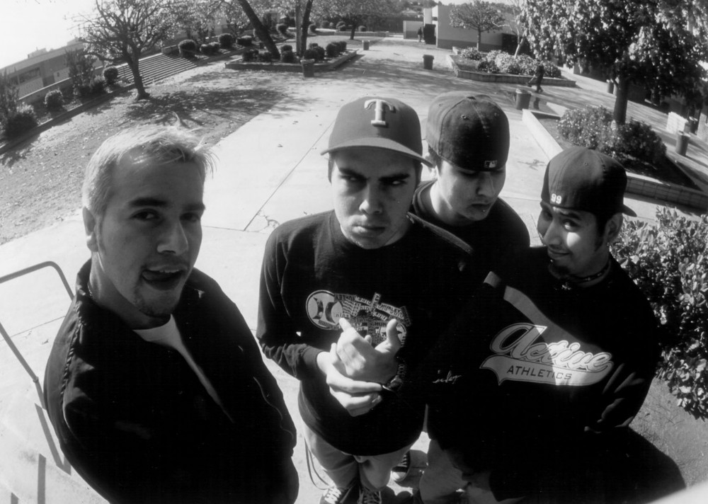 Houston-bred Fenix TX rose from Riverfenix